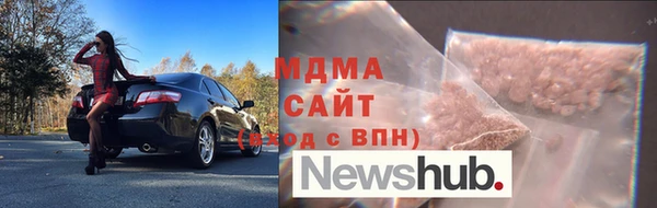индика Богородицк