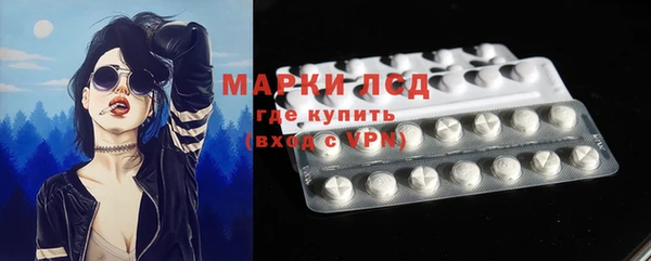 ПСИЛОЦИБИНОВЫЕ ГРИБЫ Богданович