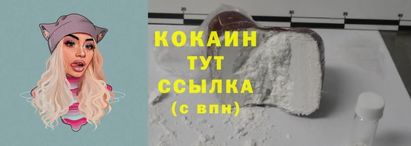 ПСИЛОЦИБИНОВЫЕ ГРИБЫ Богданович