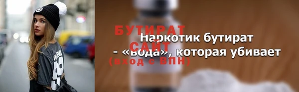индика Богородицк