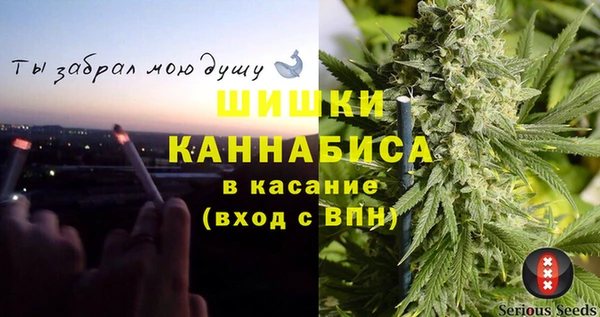ПСИЛОЦИБИНОВЫЕ ГРИБЫ Богданович