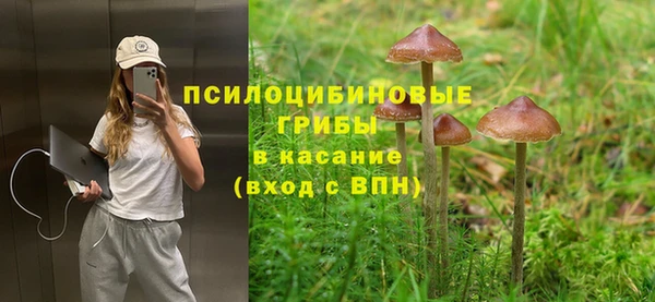 ПСИЛОЦИБИНОВЫЕ ГРИБЫ Богданович