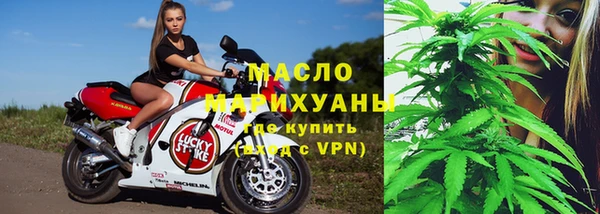 индика Богородицк