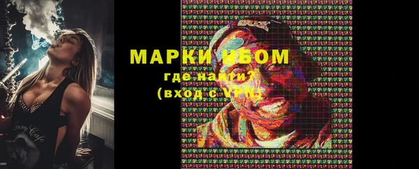 индика Богородицк