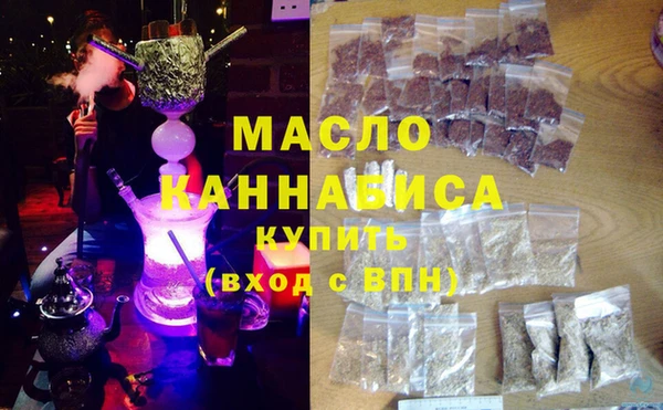 индика Богородицк