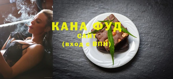 индика Богородицк