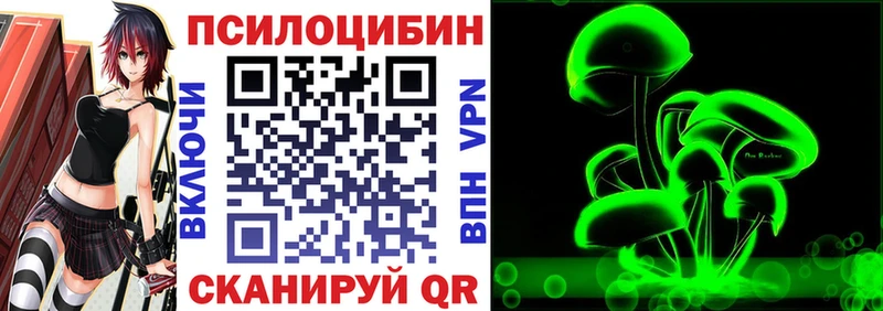 сколько стоит  Бикин  Псилоцибиновые грибы Psilocybe 